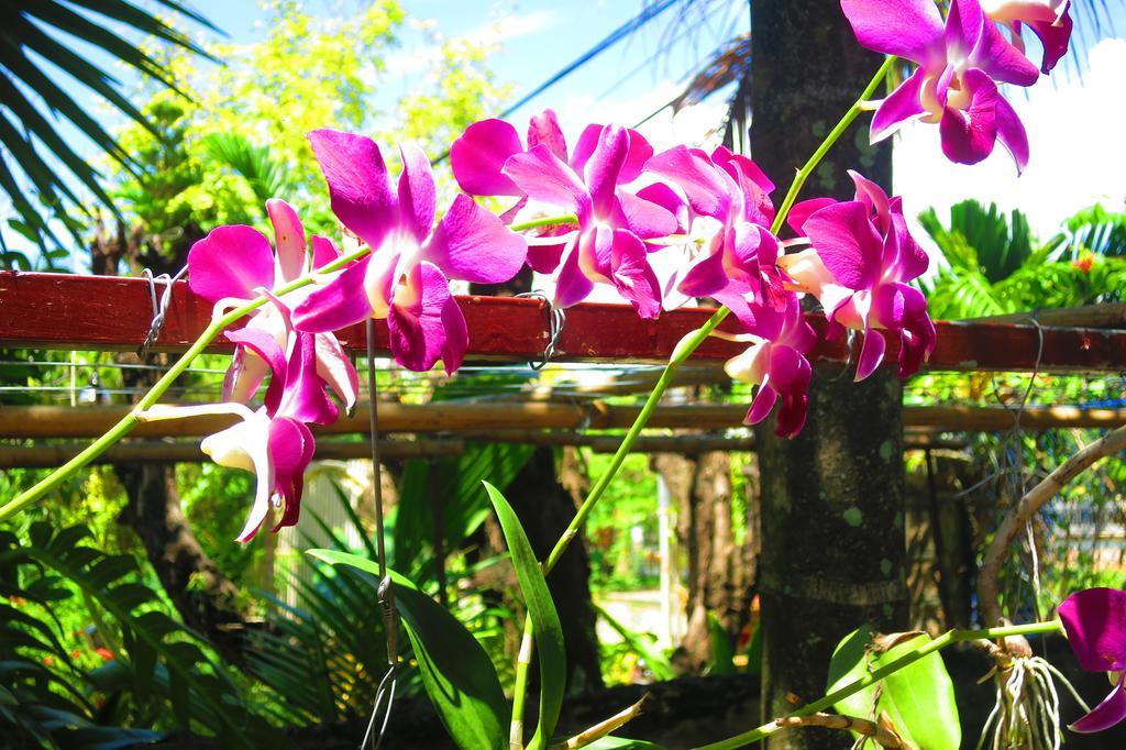 Kampot Guesthouse Buitenkant foto